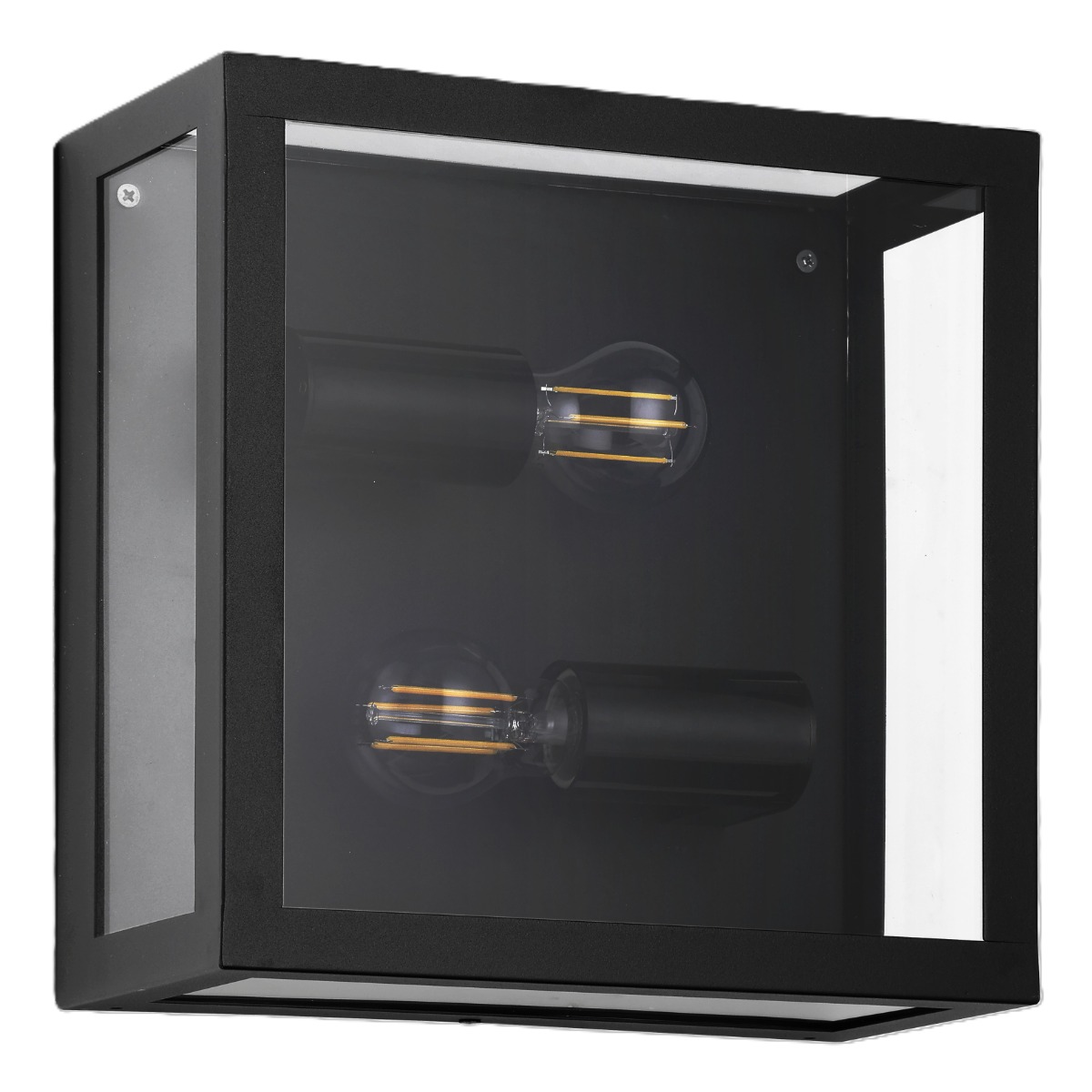 Eglo Black/Light Alamonte 1 Outdoor E27 Wall/Ceiling Ip44