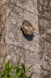 Soho Lighting Carlisle Grid Prismatic Glass Lacquered Antique Brass IP65 Bulkhead Outdoor & Bathroom IP65 Wall Light