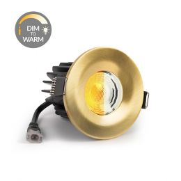 Brushed Gold CCT Dim To Warm LED Downlight Fire Rated IP65