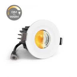 White CCT Dim To Warm LED Downlight Fire Rated IP65