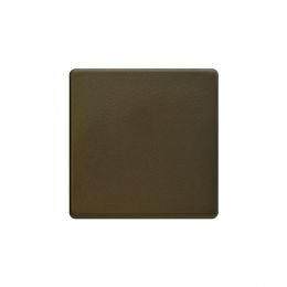 Bronze Blank Plate