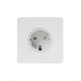 Brushed Chrome Euro Socket