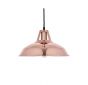 Rose gold pendant light