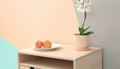 What Colours Go With Peach?